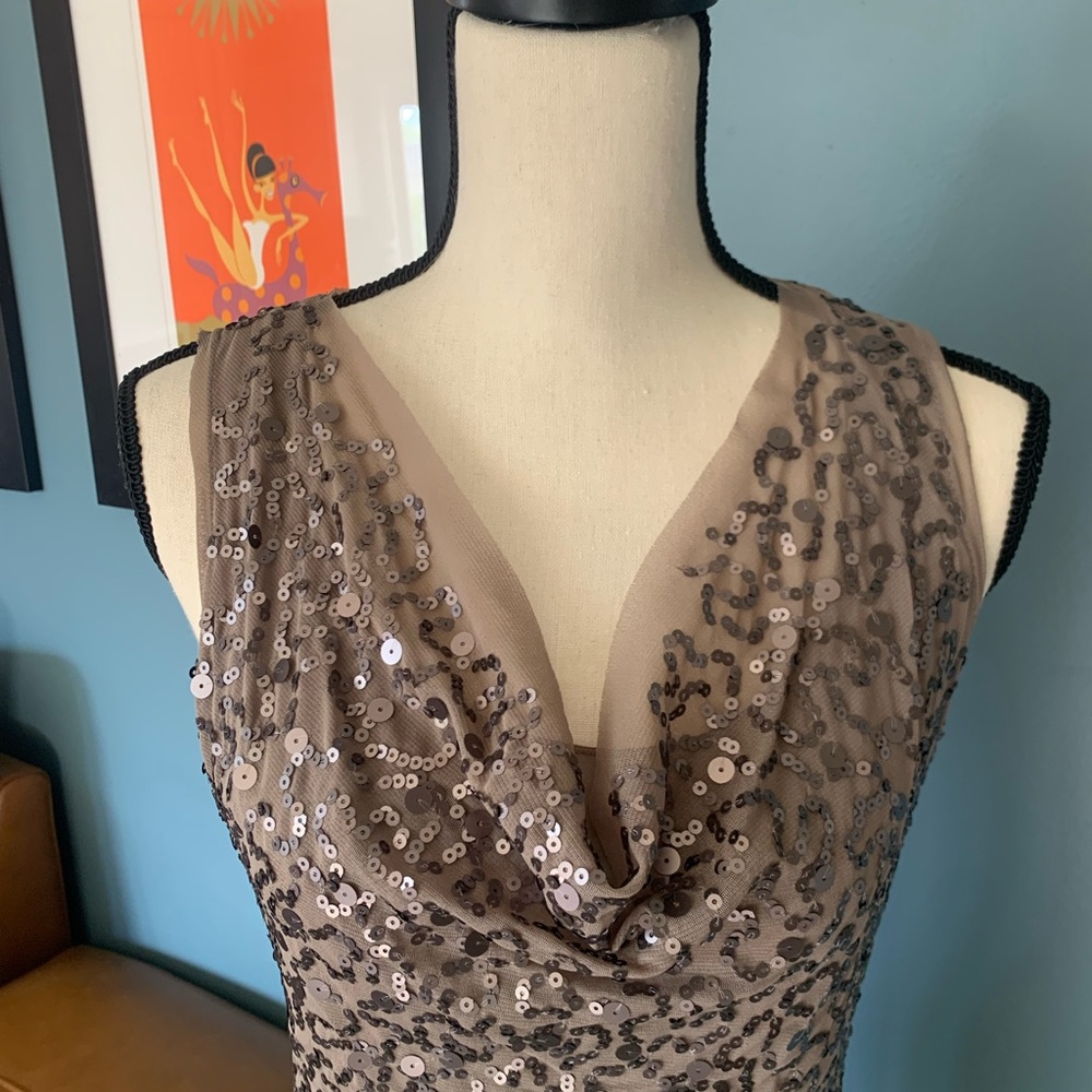Sparkly Dress